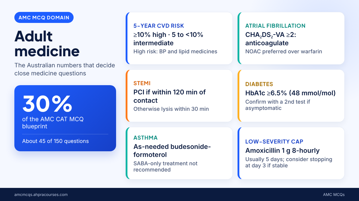 AMC adult medicine MCQs infographic showing 30% blueprint weight, about 45 questions and key Australian thresholds